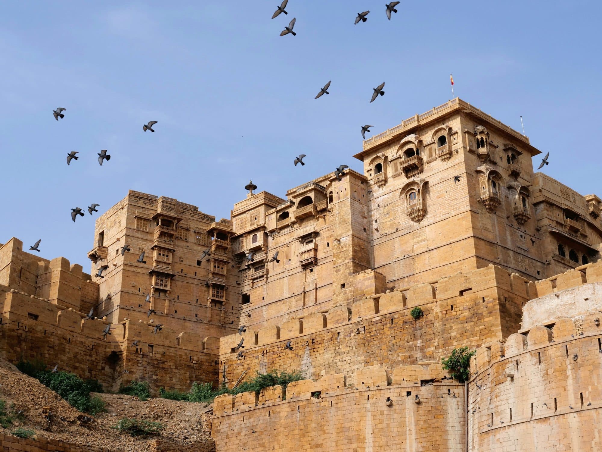 Golden sandstone ramparts and the royal palace tower of Jaisalmer Fort seen from below the walls on a clear morning, with pigeons flying overhead